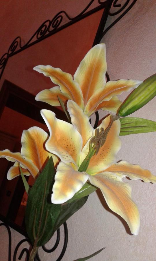 Il Giglio D'Oro Bed & Breakfast Arezzo Eksteriør bilde